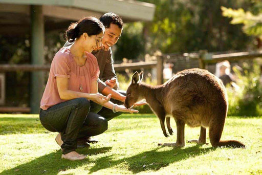 wine tour cruise perth