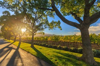 wine tour cruise perth